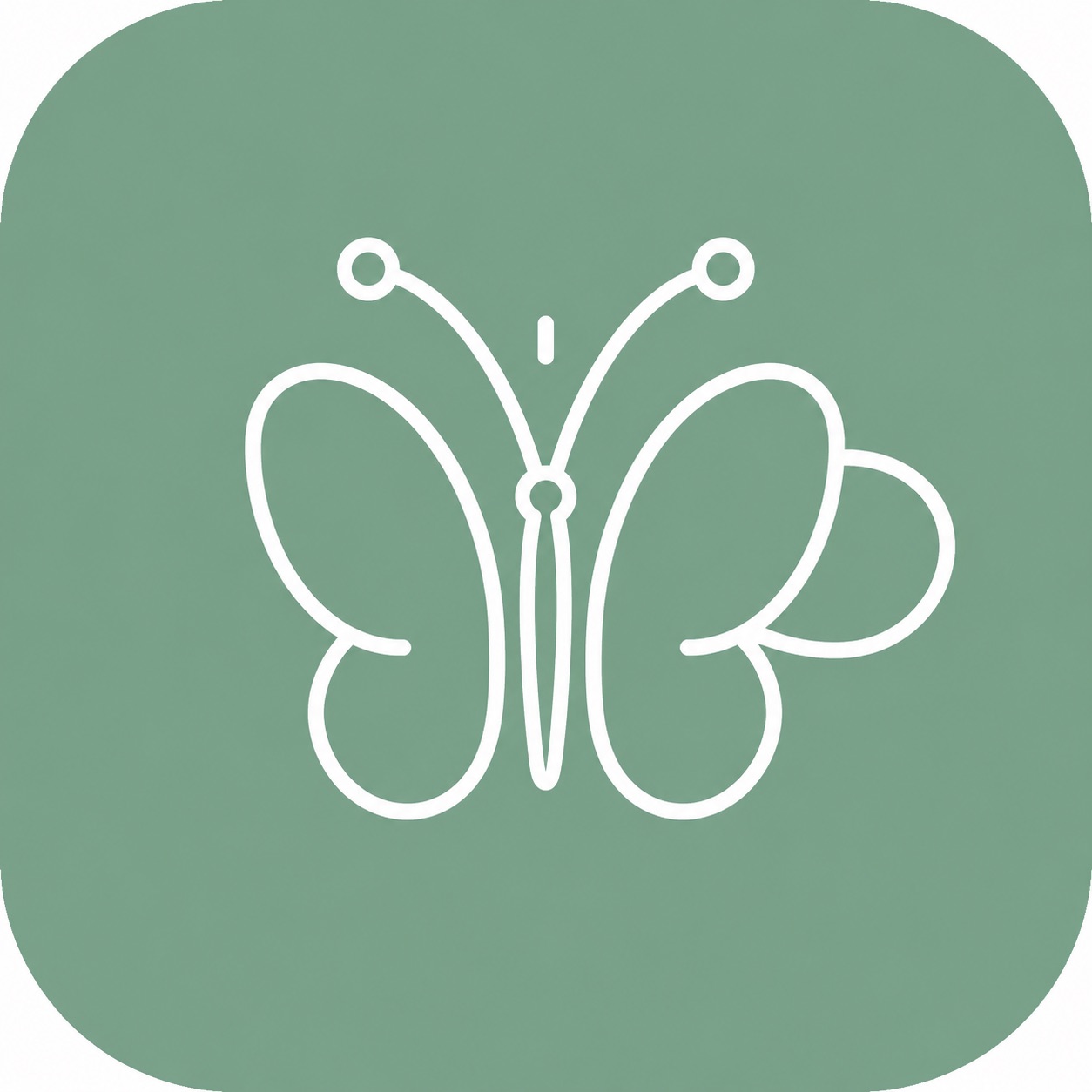 Butterfly Coffee